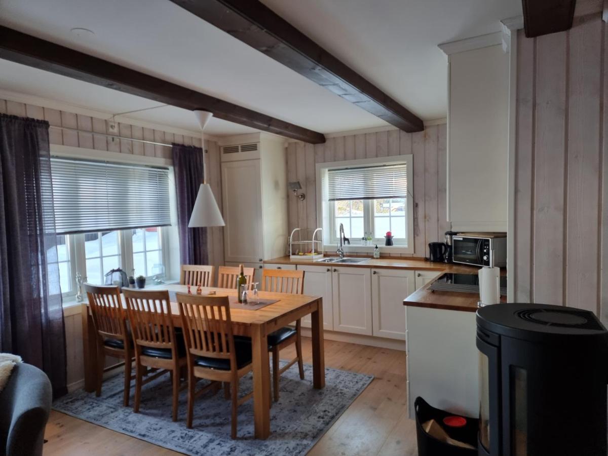 Gaustatoppen Apartment Рьюкан Экстерьер фото